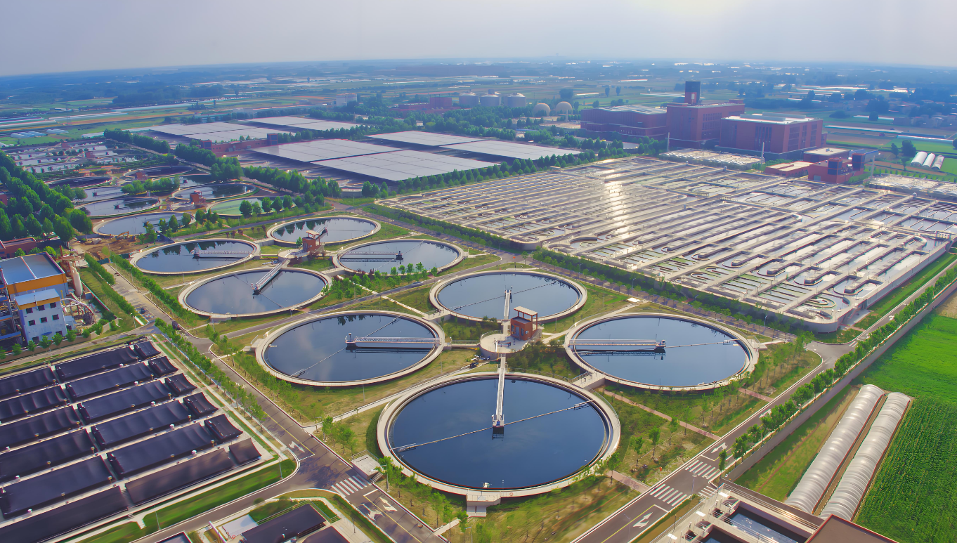 初識安力斯：環(huán)保界的